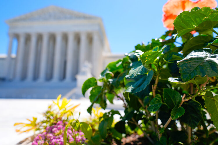 Supreme Court rules states can count late-arriving mailed ballots